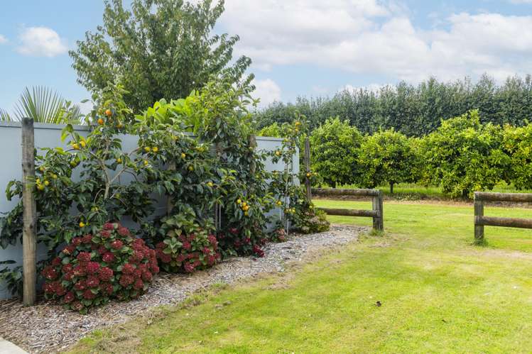 18 Jackson Road Waerengaahika_45