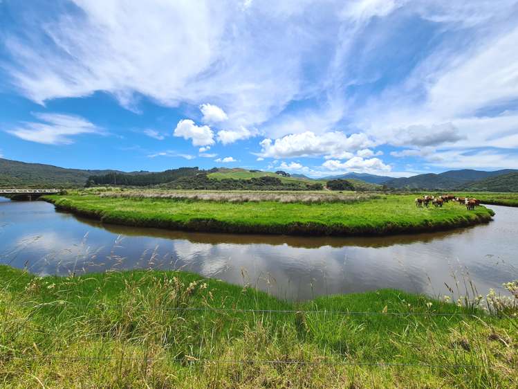 602 Port Charles Road Waikawau_0