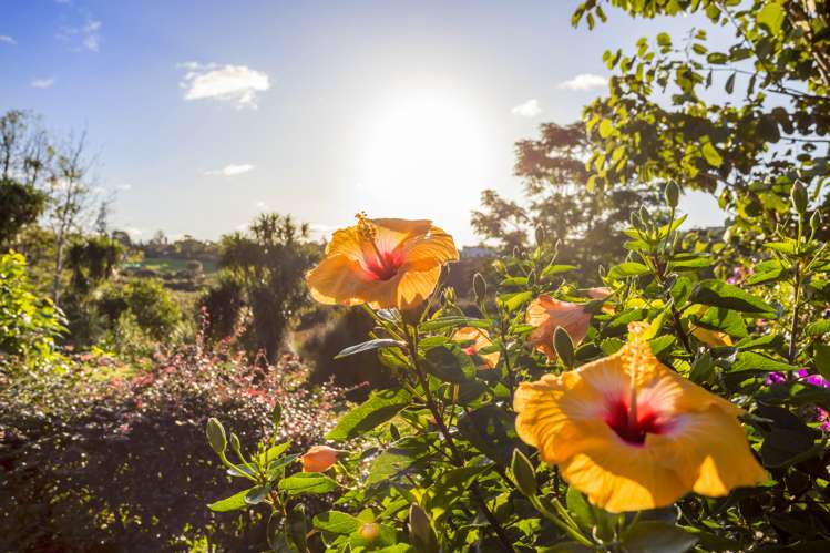 16 Ao Marama Place Kerikeri_21