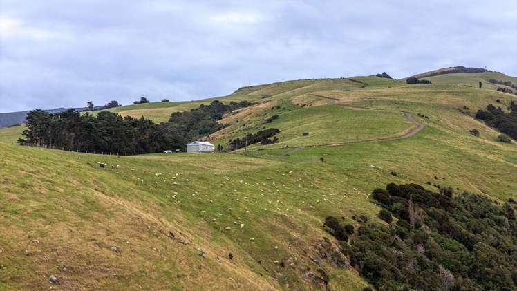 203 Paua Bay Road Akaroa_8