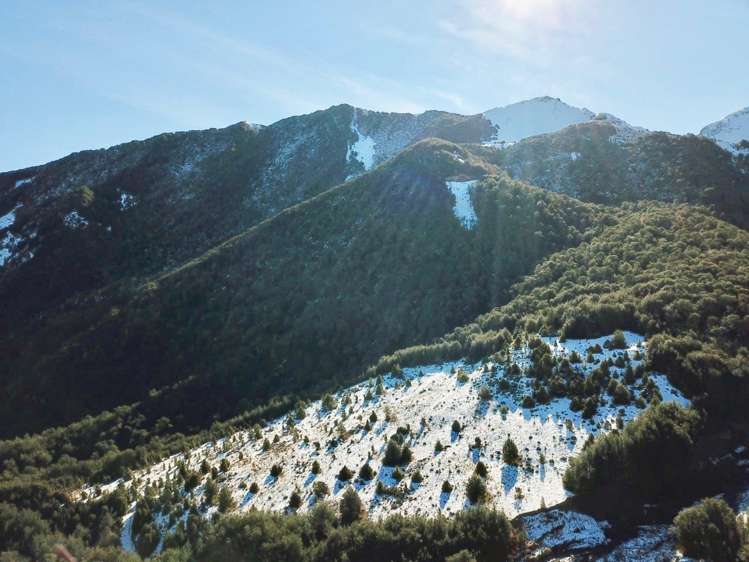 101 Mount Lyford Forest Drive Lyford_3