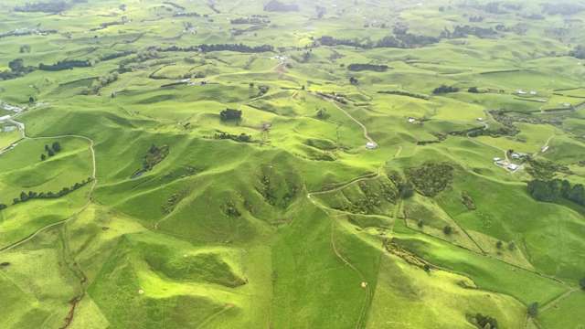 348 Ratapiko Road Ratapiko_3