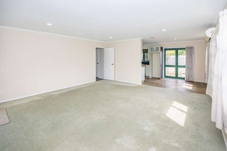 303b Mutu Street Te Awamutu_1