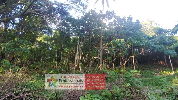 Address withheld Savusavu_32