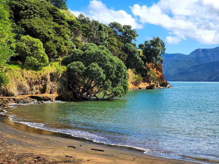 17a Dodd Road Manukau Heads_15