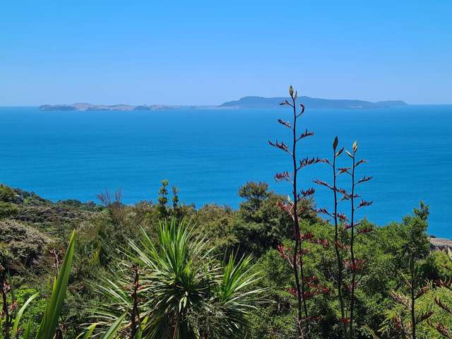 525g Tuateawa Road Tuateawa_2