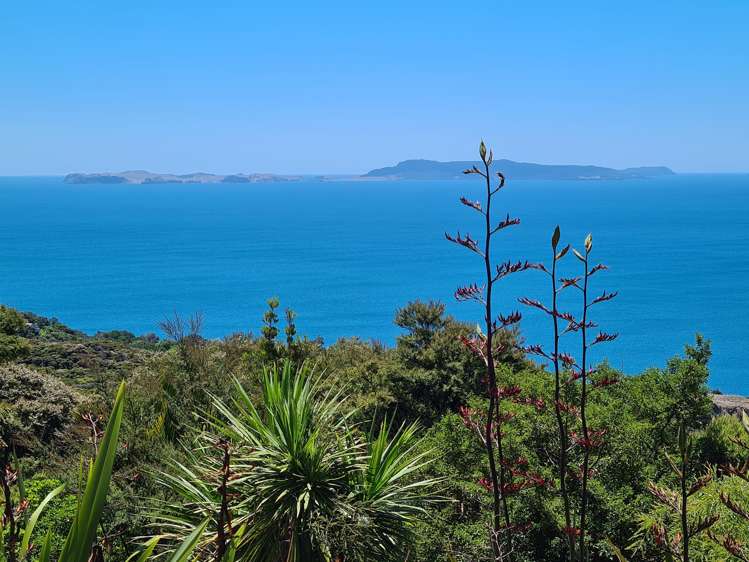 525g Tuateawa Road Tuateawa_2