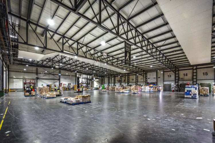 17 Nesdale Avenue Wiri_12