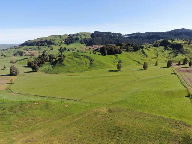 Nohonoa Road Te Mapara_3