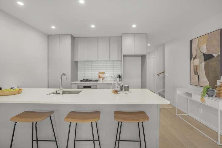 48 Mills Street Boulcott_9