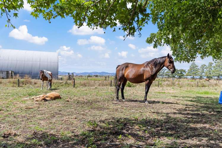 268 Tramline Road Patetonga_18