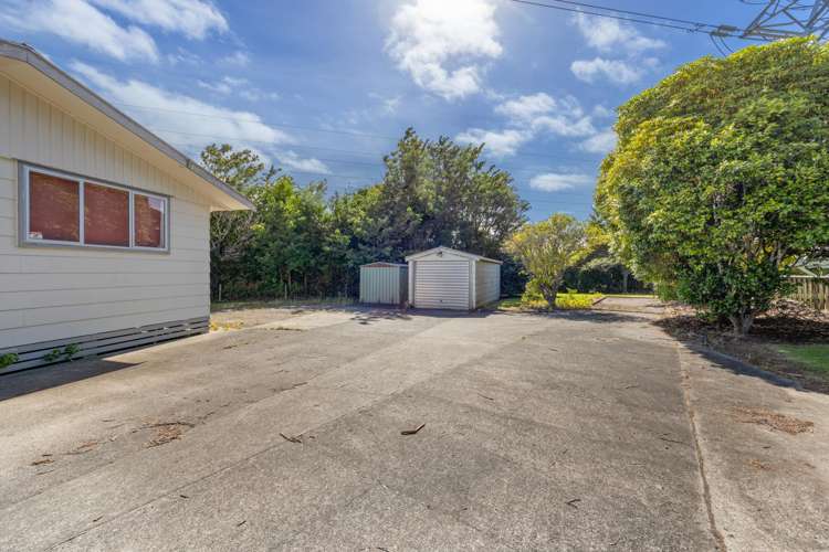22 Saxton Road Upper Vogeltown_11