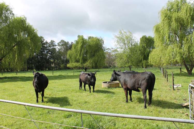 1291 State Highway 1 Hikurangi_7