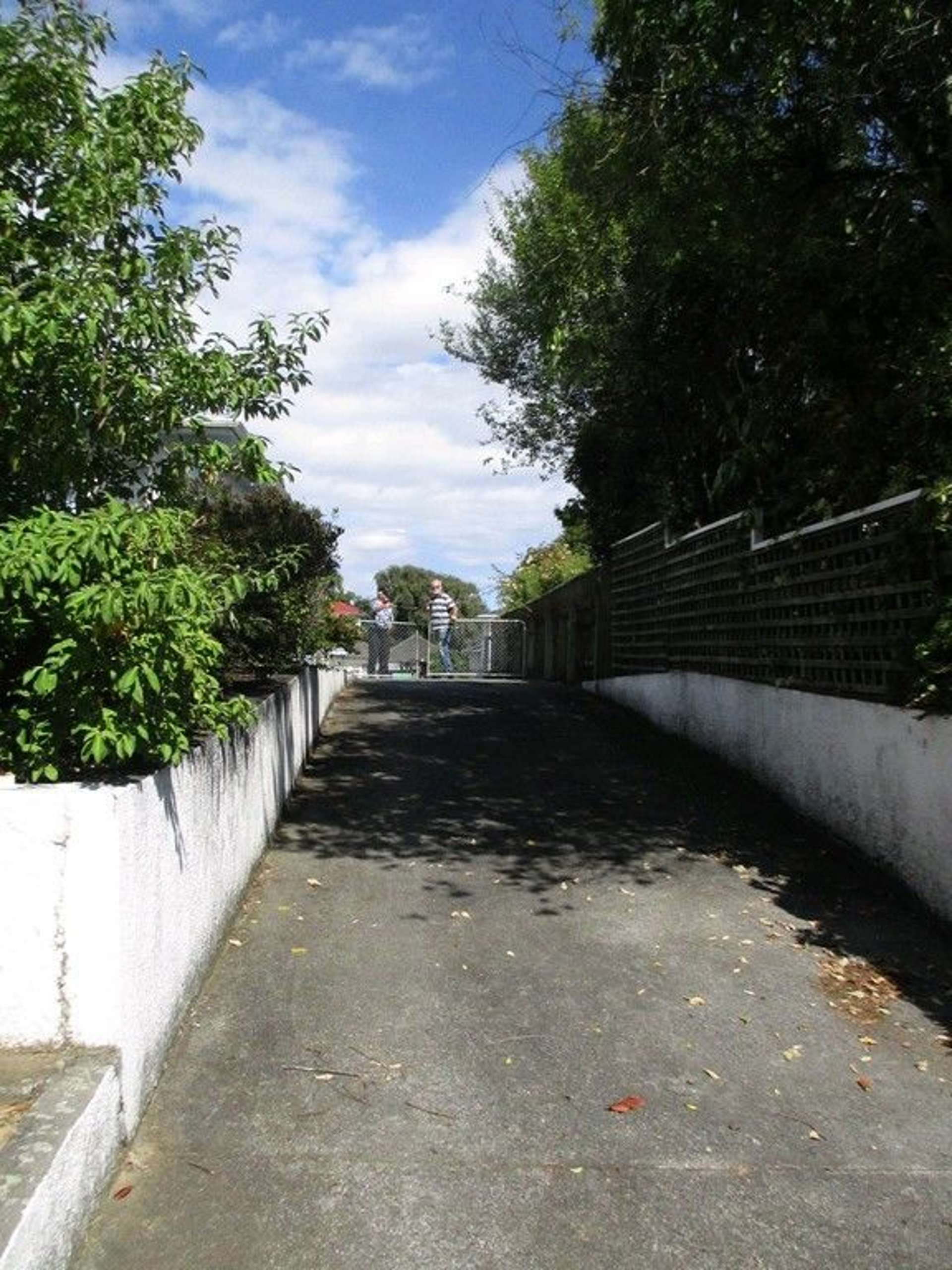 25a Chester Street Levin_0