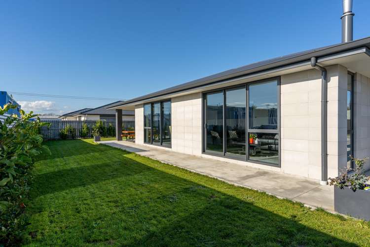 55b Dublin Street Martinborough_15