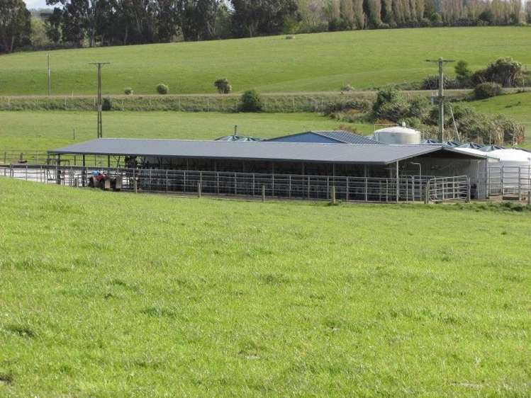 839 Grove Bush Woodlands Road Winton Surrounds_12