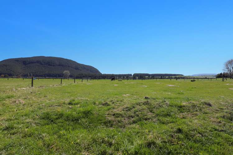 31 Tia Street Atiamuri_34