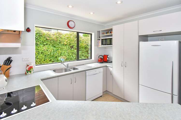 3 Norwood Drive Flat Bush_2