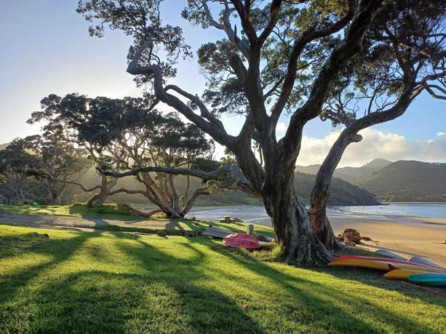 333 Blind Bay Road Great Barrier Island_4