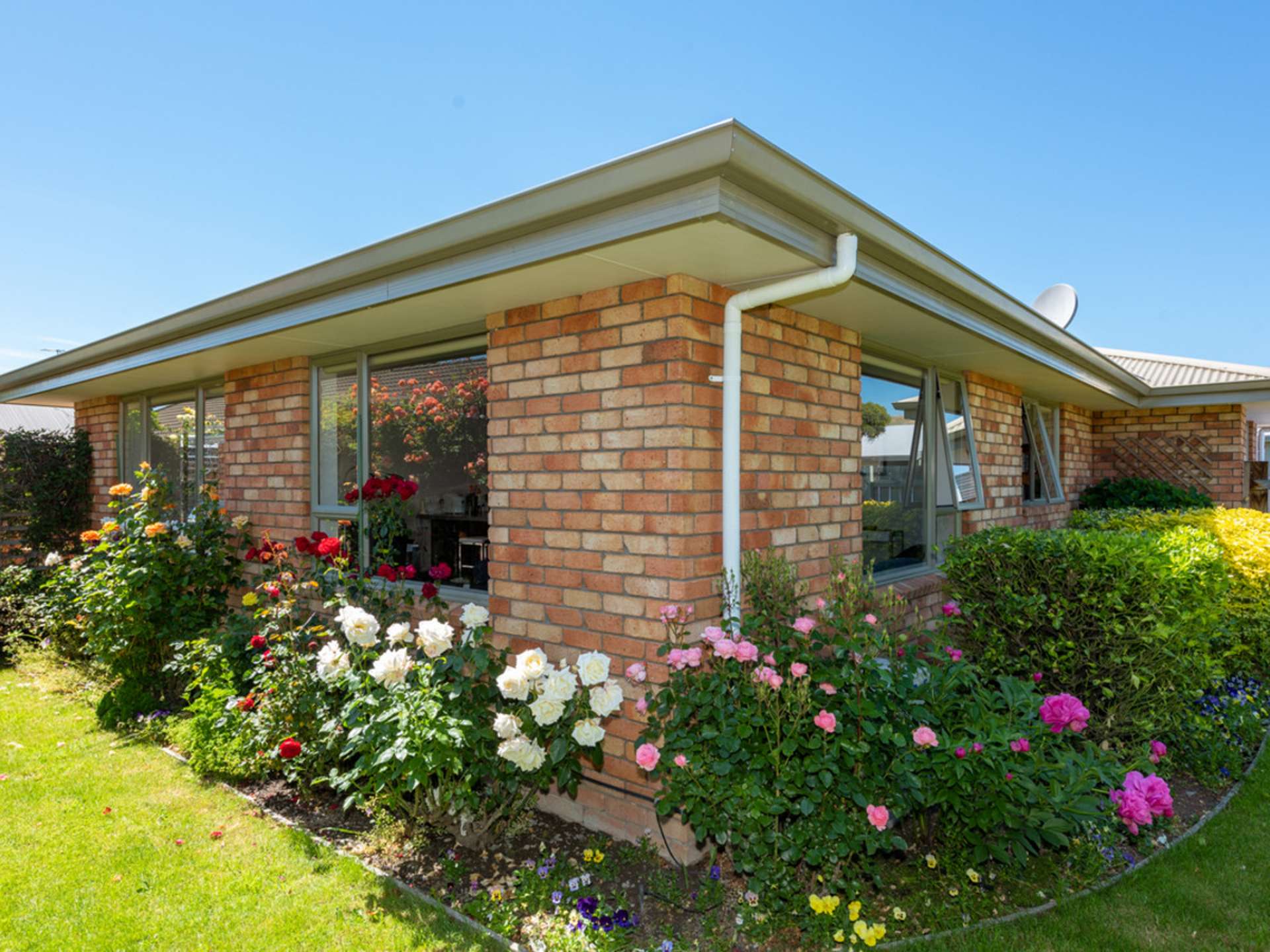 19 De Castro Drive Blenheim Central_0