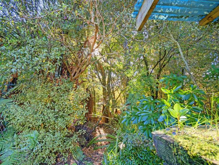 14 Wilson Road Pounawea_24