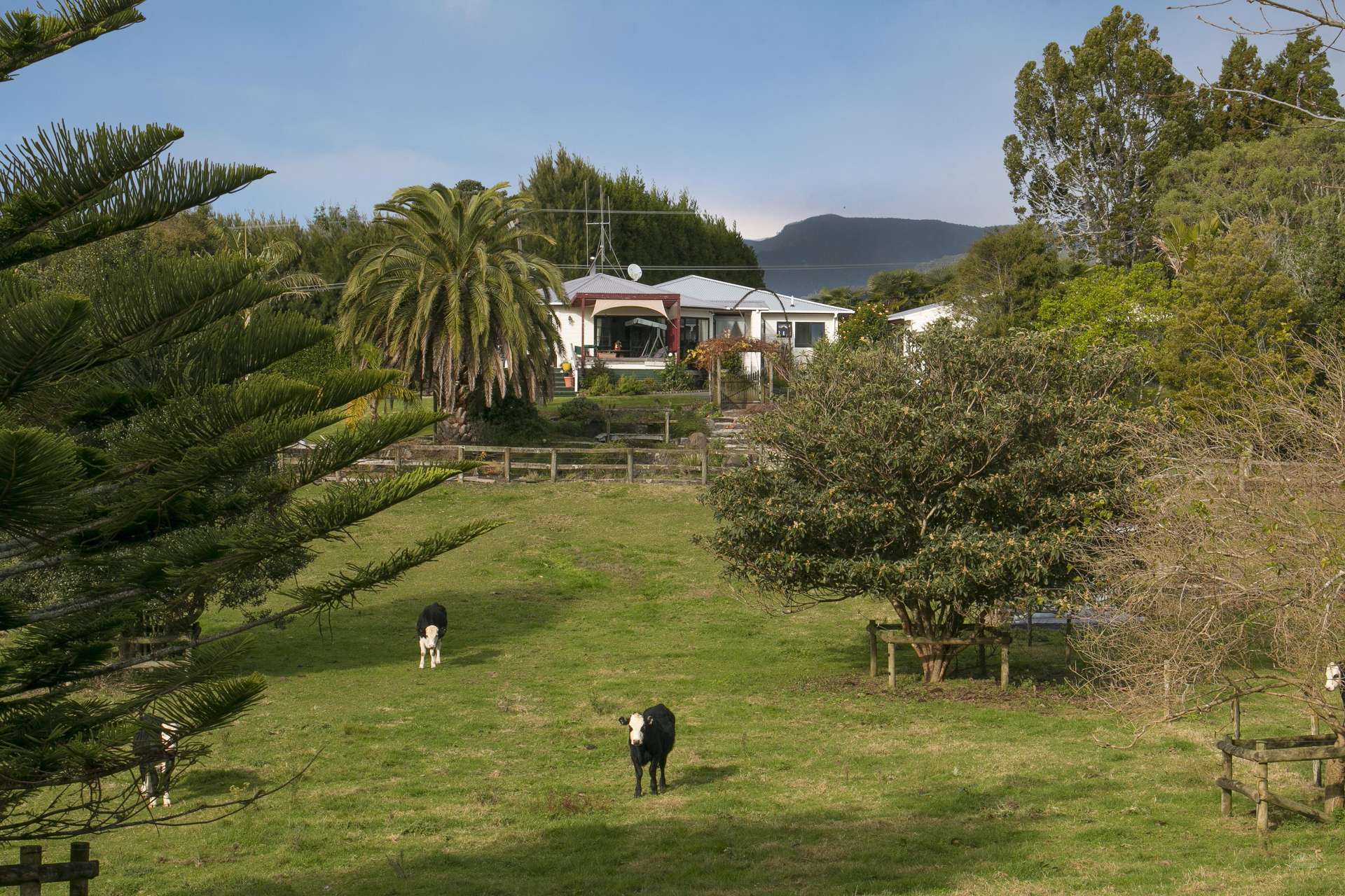 294 Wharawhara Road Hauraki Surrounds_0