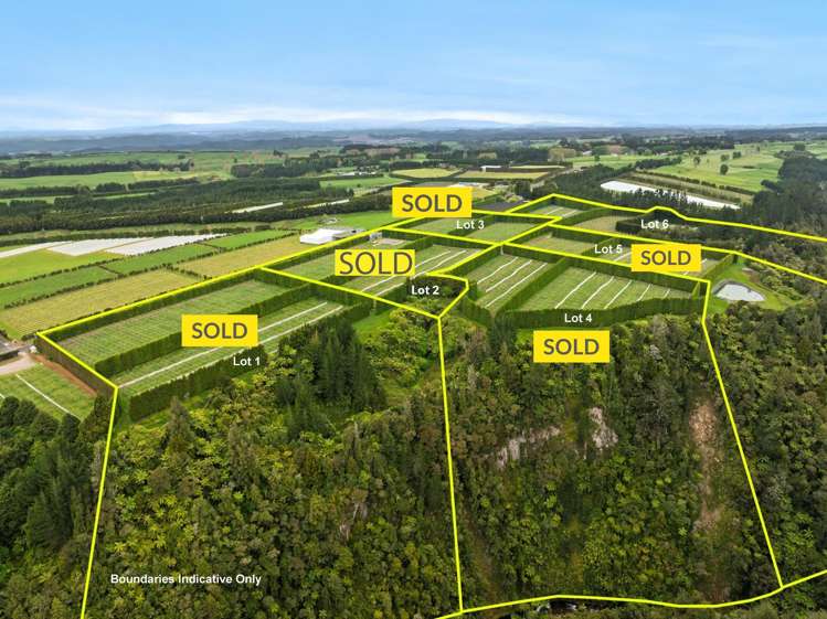 1010 Te Matai Road_0