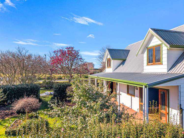 13 Dick Street Kihikihi_2