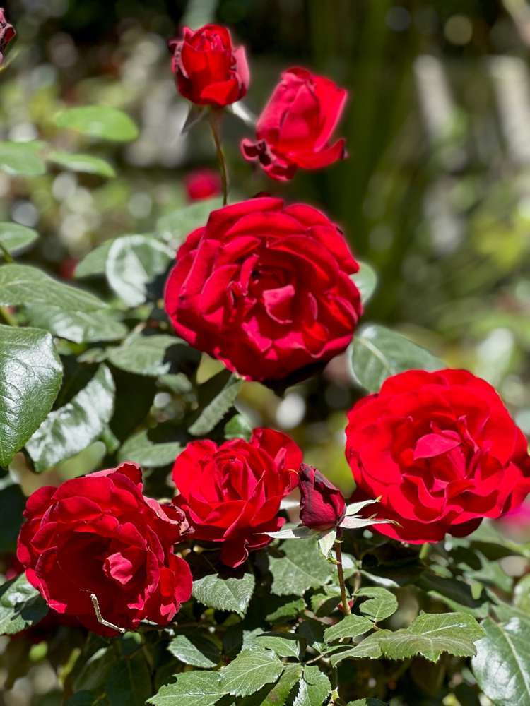 487 Kanohi Road Kaukapakapa_30