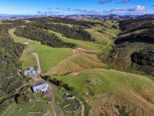 Surrounded by Native Bush and Ocean Views