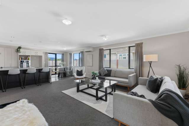 17 Brewer Street Blenheim Central_2