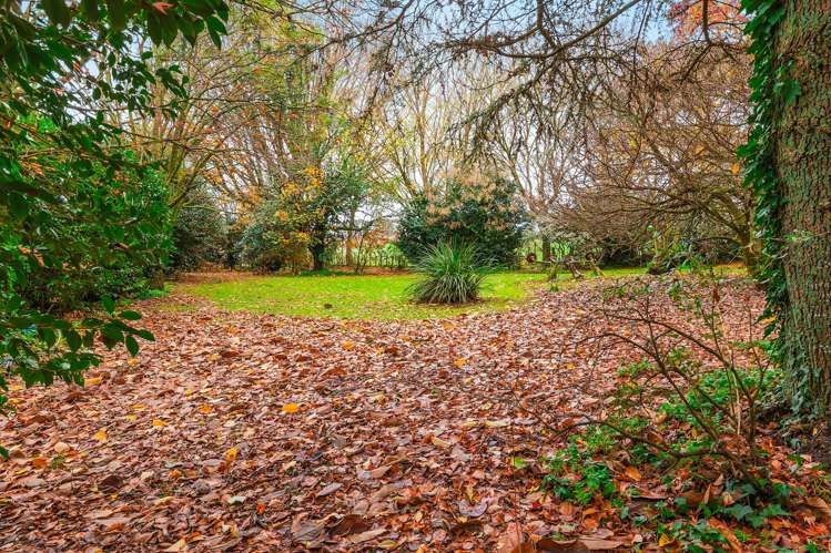 124 Deep Creek Road Reporoa and Surrounds_28