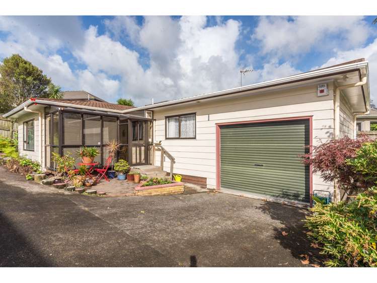 74c Seabrook Avenue New Lynn_0