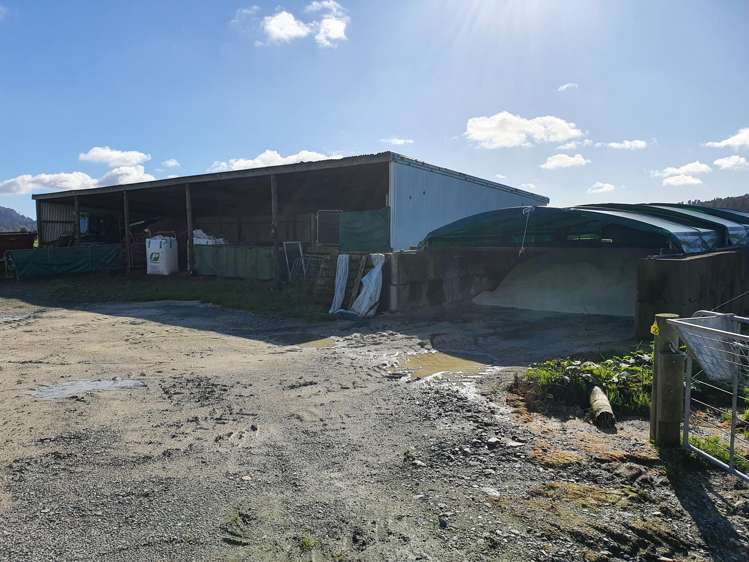 217 Poerua Valley Road Harihari_9