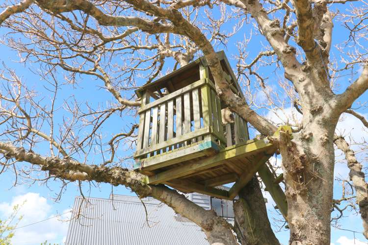 63 Heywood Street Grasmere_40