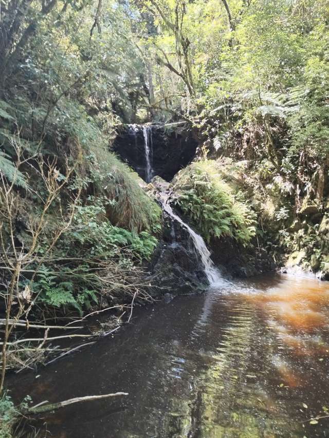 240b Esk Road Miranda_3