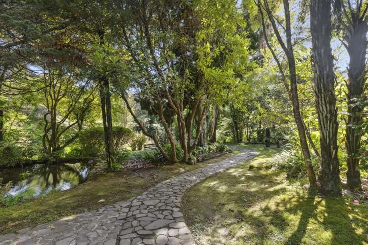 586 Tapu Coroglen Road Tapu_6