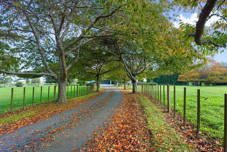 44 Brotherhood Road Kihikihi_47