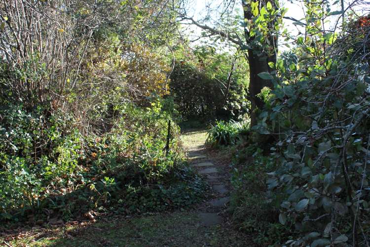 25 Courage Road Amberley_7