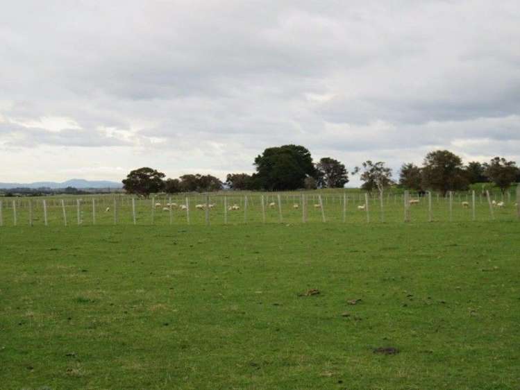 769 State Highway 2 Opaki_12