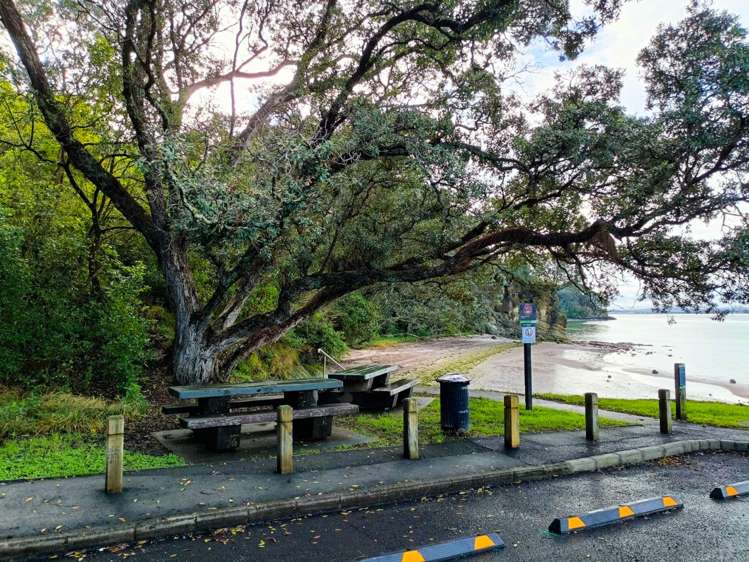 2 Waikowhai Road Hillsborough_27