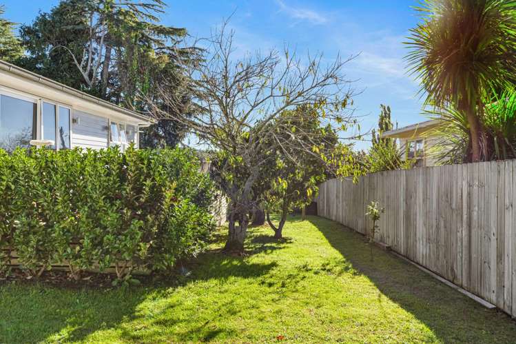 36 Mildmay Road Henderson_18