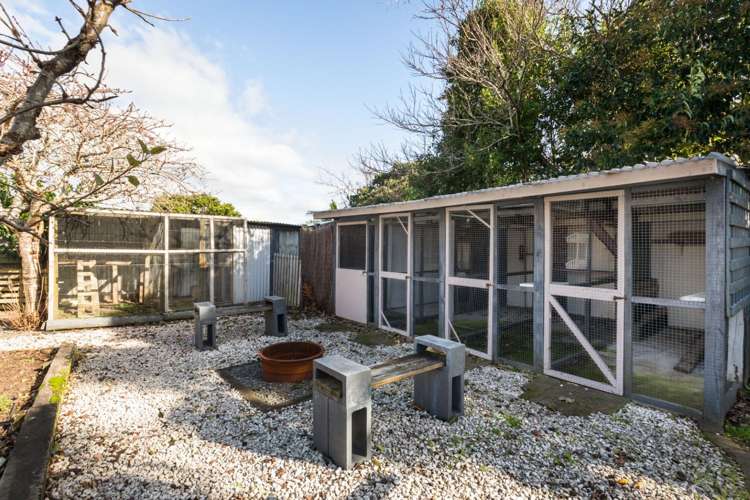 12 Albert Street Waihi_16