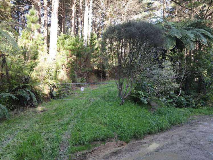 353 Pretoria Road Shannon_8