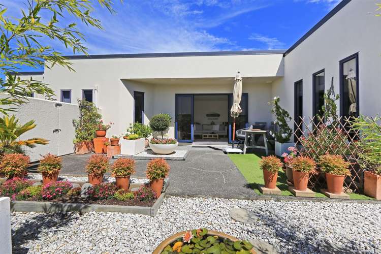 13 Palmbrook Avenue_0