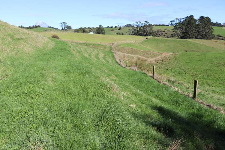 344 Hursthouse Road Inglewood_11