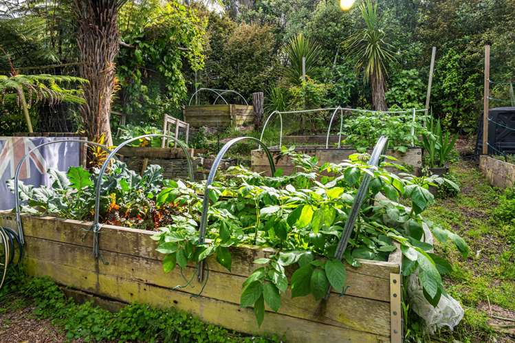 2 Bella Vista Drive Gulf Harbour_33