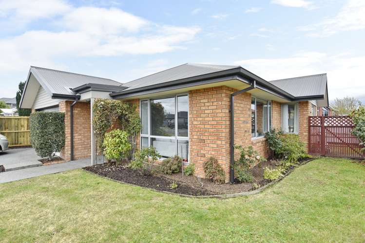 37a Burwood Road Burwood_23
