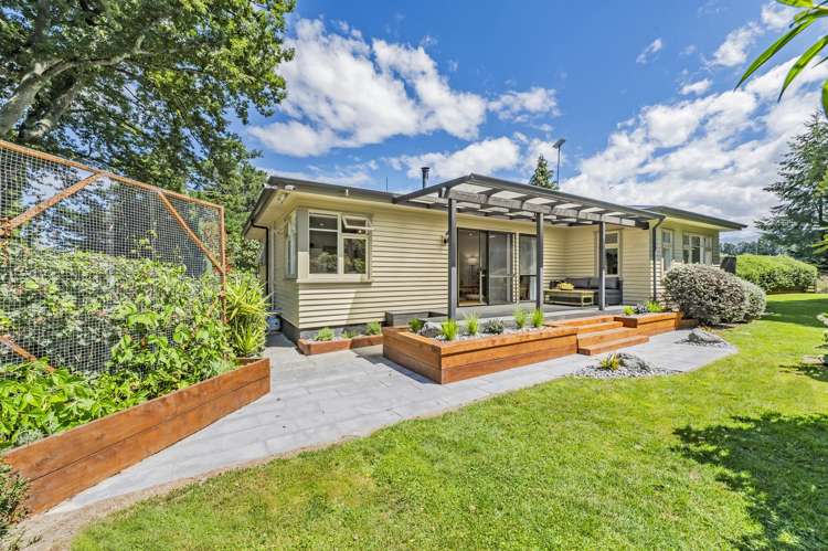 428 Kowai Road Springfield_6