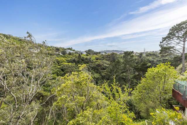 18 Blackbridge Road Wadestown_2